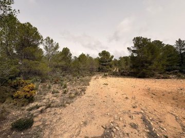 g3a02c0ca-00b4-4e9f-8b16-5234618606ac