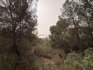 g3d833fb0-e280-4de7-98f3-cf19aec104d5