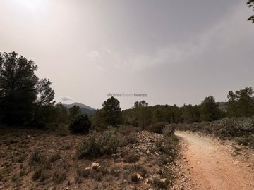 g75d44530-d79d-41d8-88d2-356de6625bfc