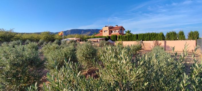 Image No.25-5 Bed Villa for sale