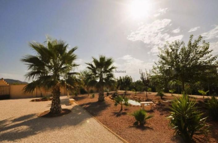 Image No.35-5 Bed Villa for sale