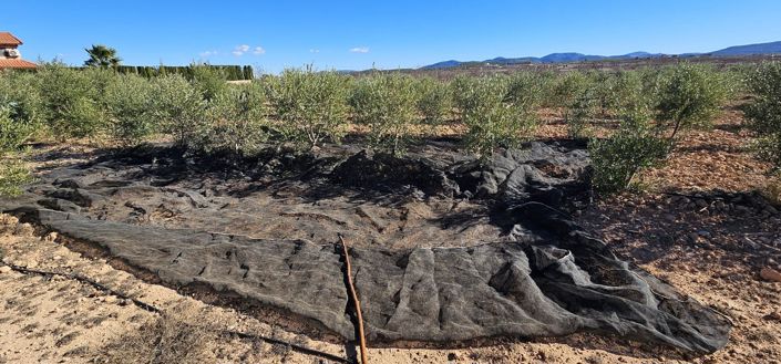 Image No.50-5 Bed Villa for sale