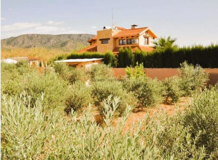 Image No.8-5 Bed Villa for sale