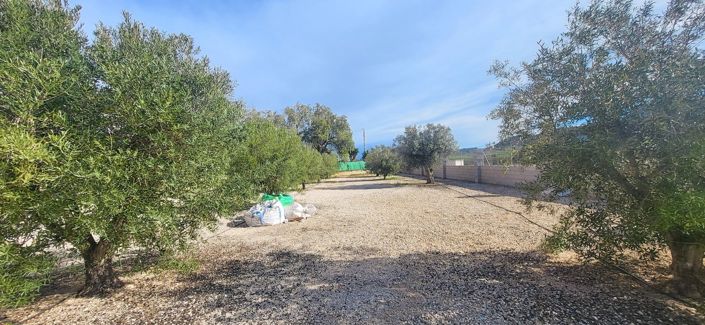 Image No.5-1 Bed Country House for sale