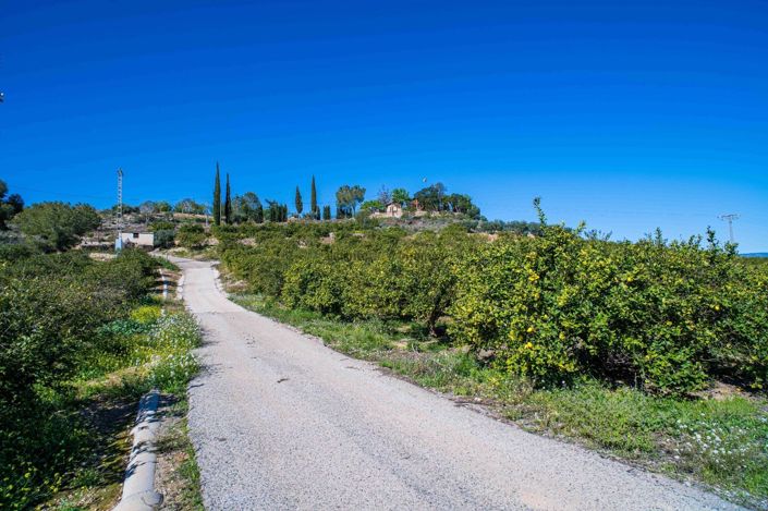 Image No.41-Finca de 4 chambres à vendre à Santomera