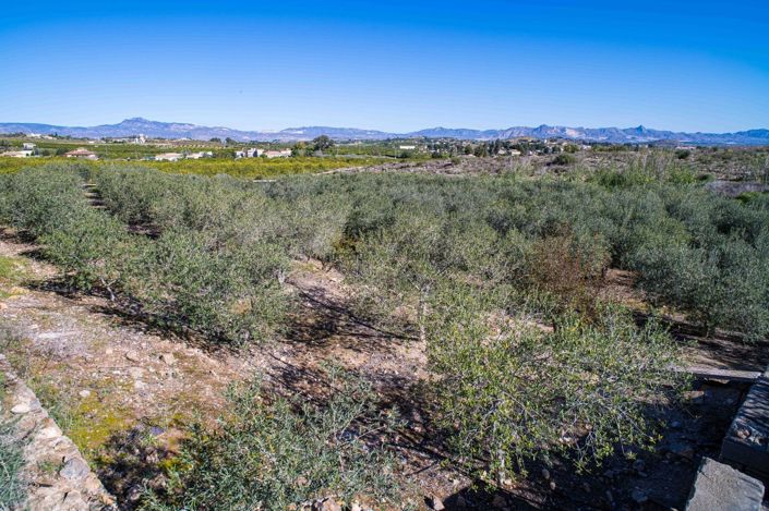 Image No.42-Finca de 4 chambres à vendre à Santomera
