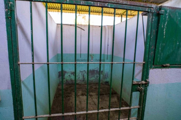 Image No.44-Finca de 4 chambres à vendre à Santomera