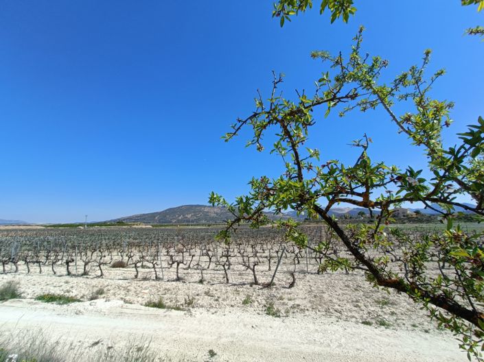 Image No.4-3 Bed Villa for sale