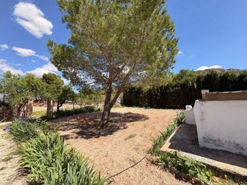 gecd6949f-685b-4b61-9778-5cbb7378563d