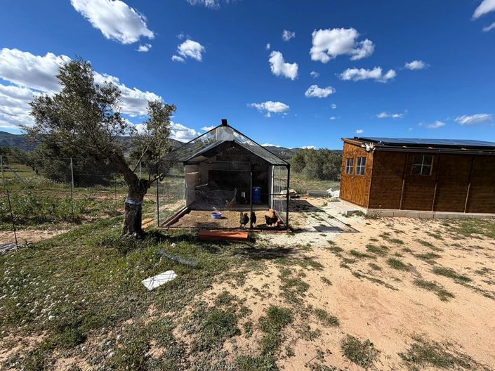 Image No.4-Land for sale