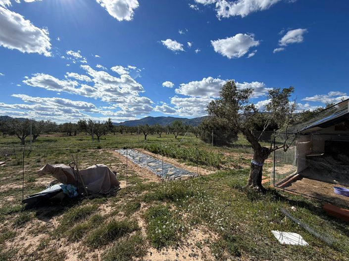 Image No.6-Land for sale