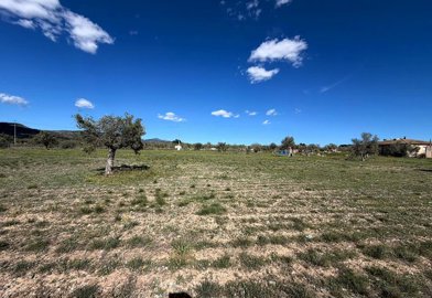 w2zievwtmnur5r384touj