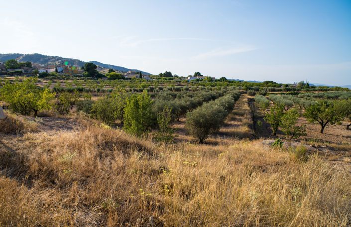 Image No.35-Maison de ville de 3 chambres à vendre à Yecla
