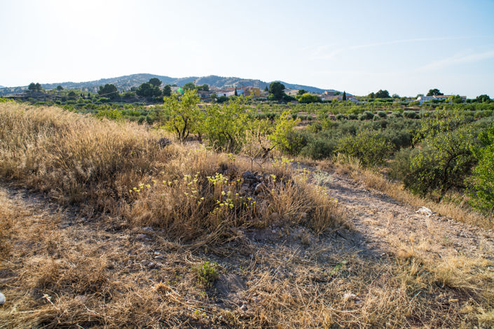 Image No.36-Maison de ville de 3 chambres à vendre à Yecla