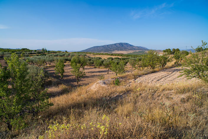 Image No.37-Maison de ville de 3 chambres à vendre à Yecla