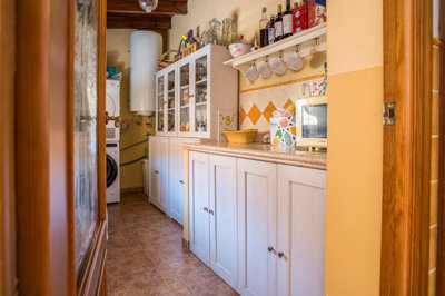 1771164617016-fox-r12420-20pa20pinoso20011