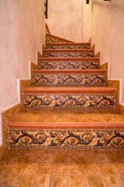 1771164620241-fox-r12420-20pa20pinoso20012