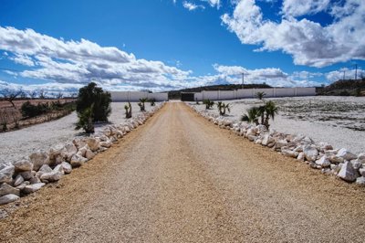 1771170870041-fox-r15120casa20montana20ibanez