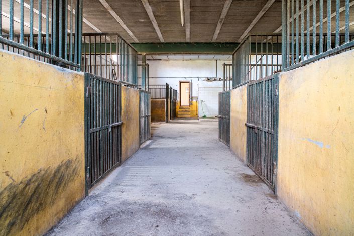 Image No.19-6 Bed Country House for sale