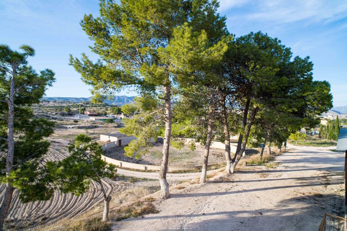 Image No.42-6 Bed Country House for sale