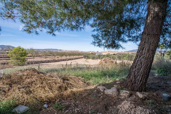 Image No.24-Townhouse for sale