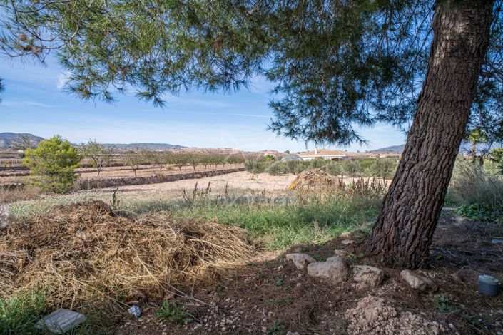 Image No.28-3 Bed Townhouse for sale