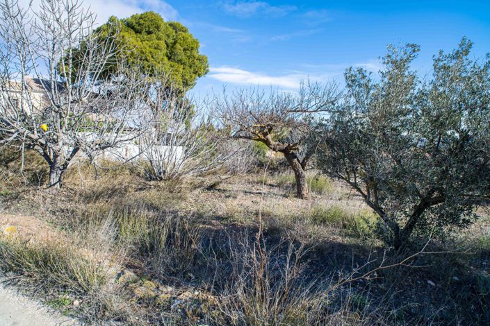 Image No.45-5 Bed Townhouse for sale