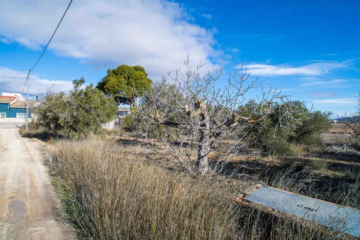 Image No.48-5 Bed Townhouse for sale