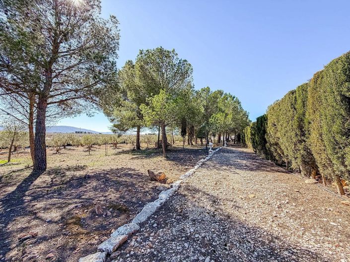 Image No.47-6 Bed Country House for sale