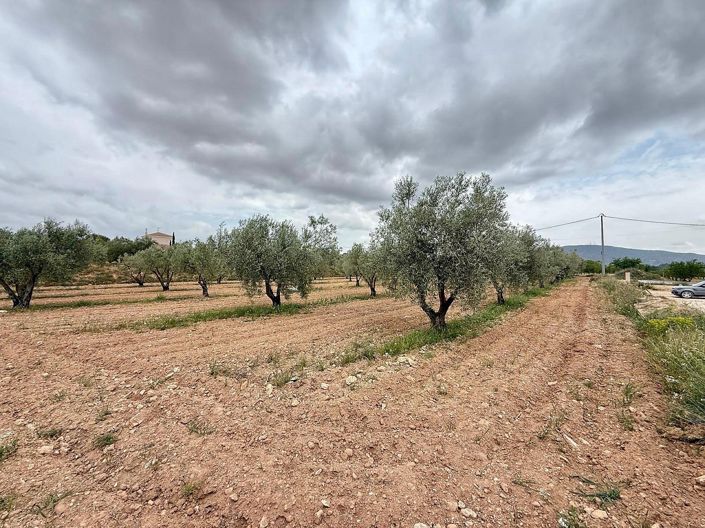 Image No.31-Villa de 4 chambres à vendre à Alicante