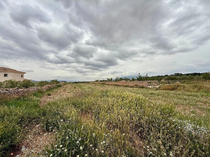 Image No.32-Villa de 4 chambres à vendre à Alicante