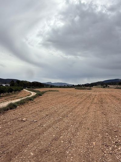 Image No.5-Land for sale
