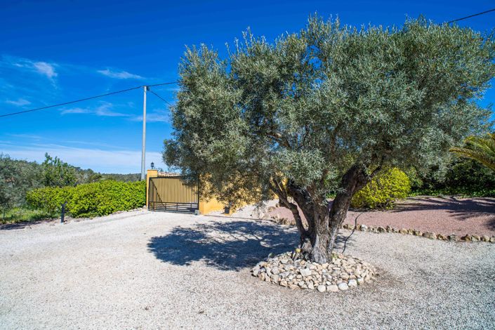 Image No.9-3 Bed Villa for sale