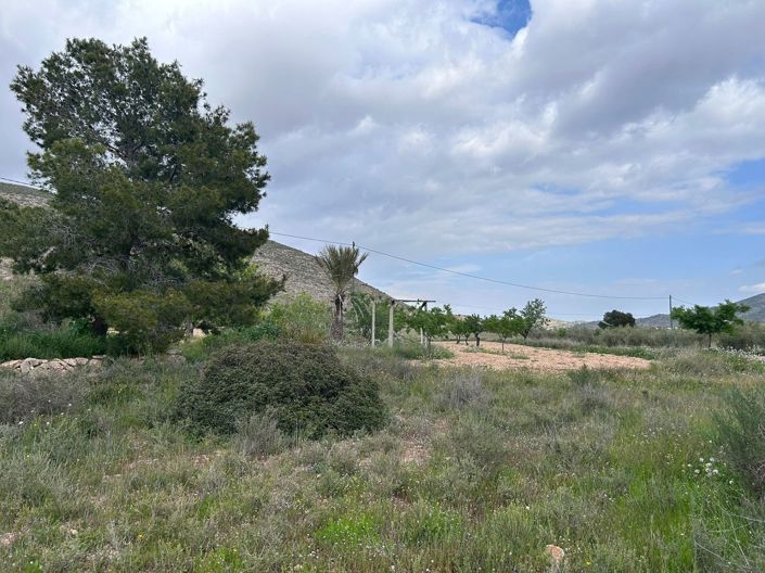 Image No.23-5 Bed Property for sale