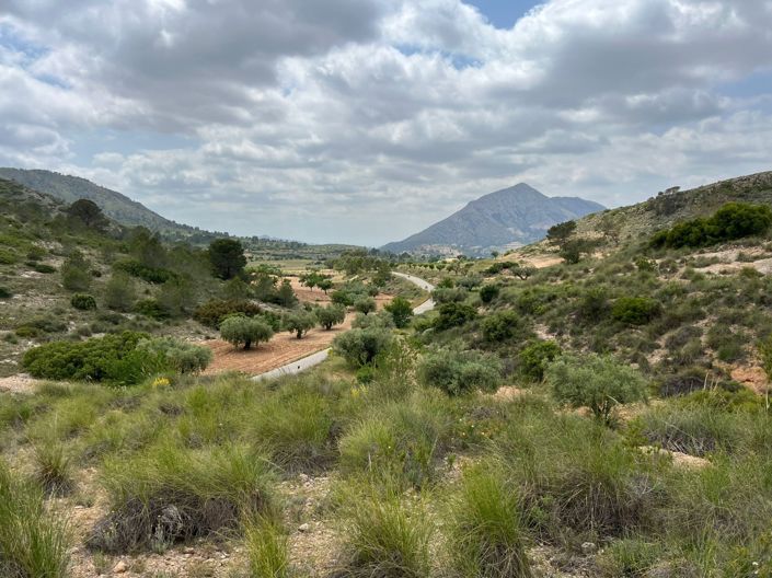 Image No.3-Land for sale