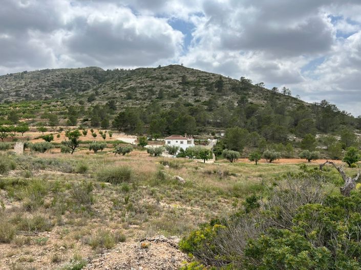 Image No.4-Land for sale