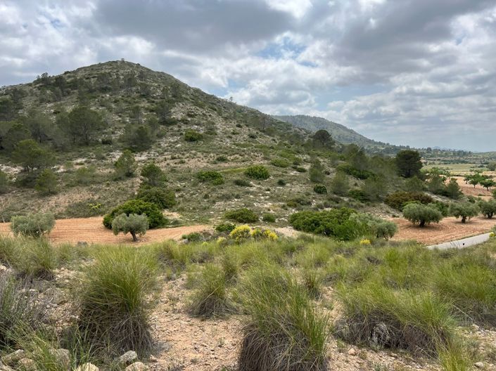Image No.5-Land for sale