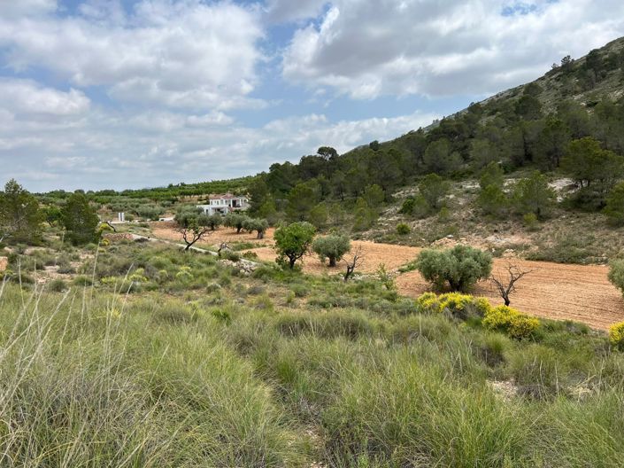 Image No.6-Land for sale