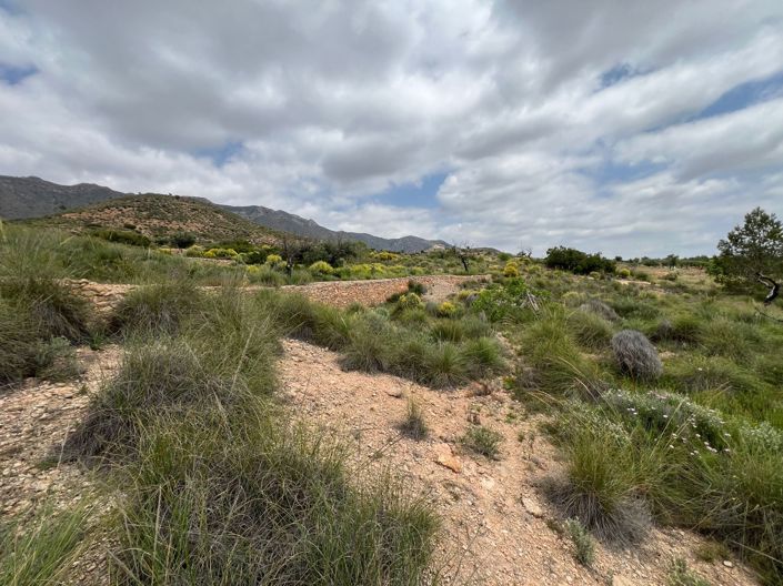 Image No.7-Land for sale