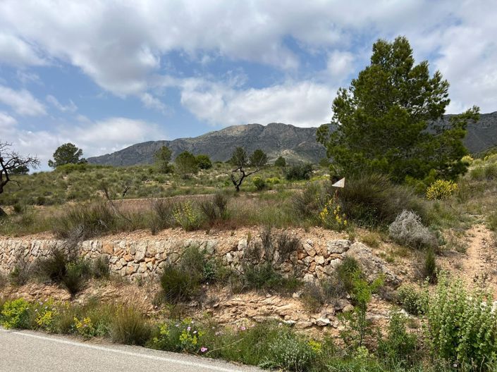 Image No.8-Land for sale
