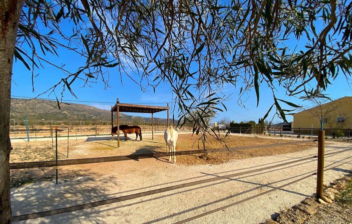 Image No.4-4 Bed Villa for sale