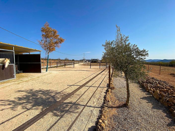 Image No.8-4 Bed Villa for sale