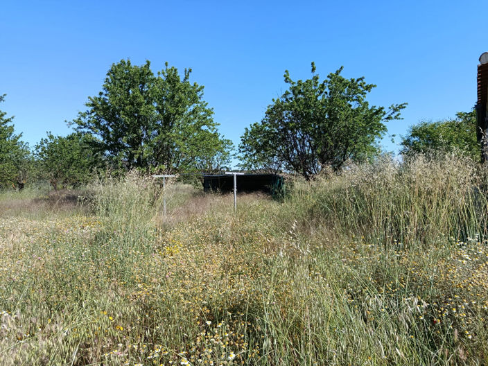 Image No.36-2 Bed Country House for sale