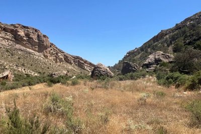 gresale-finca-country-property-crevillente270