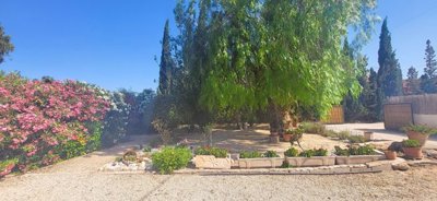 w21