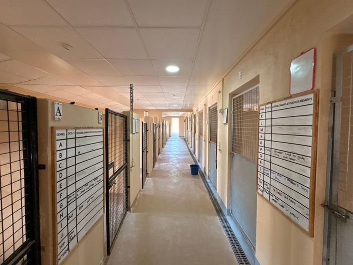 Image No.13-4 Bed Commercial for sale
