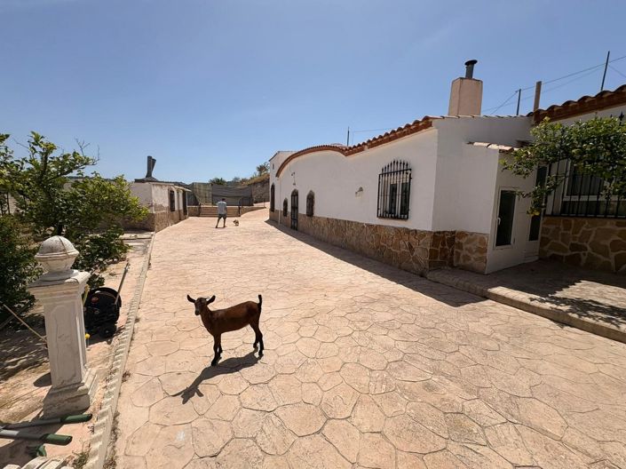 Image No.12-6 Bed Country House for sale