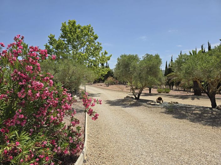 Image No.19-6 Bed Villa for sale