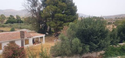 wimg-20260716-wa0066