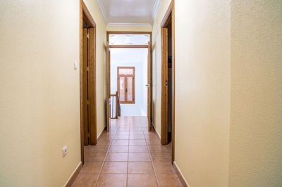 ged854346-1e85-4bd3-aeb7-9ab35a8cbf1d-fox-r18
